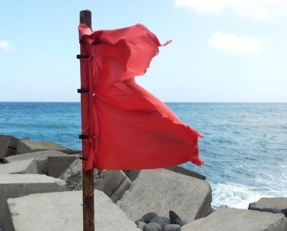 Red flags on the shore