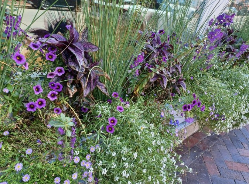flower box