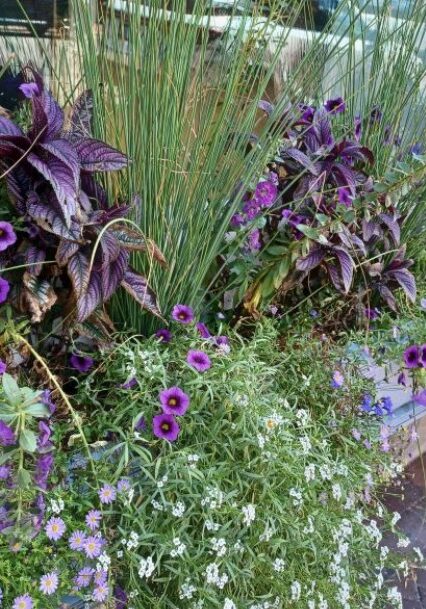 flower box