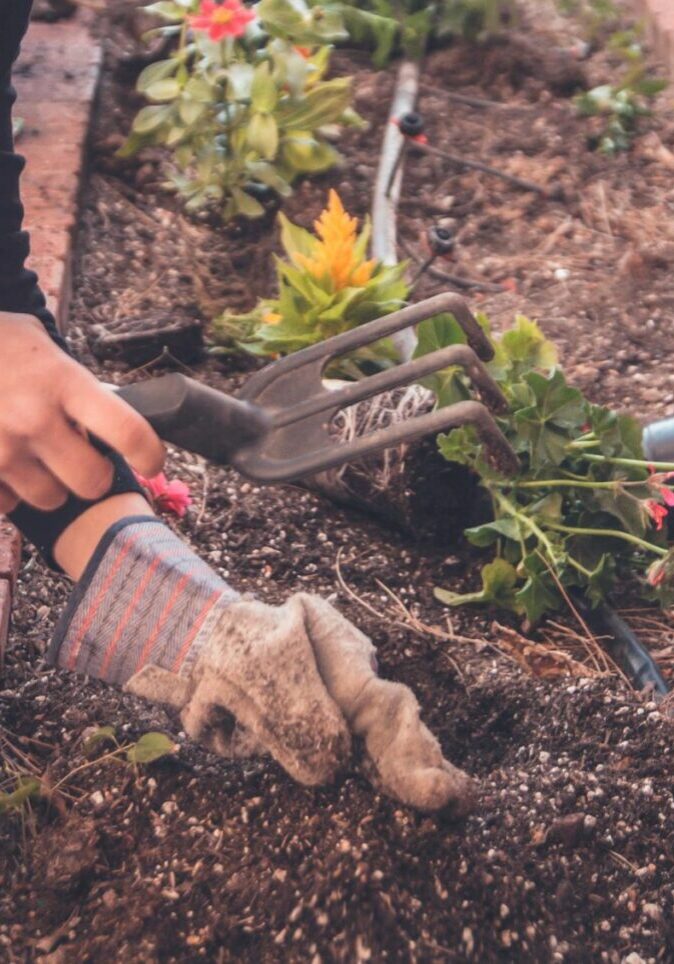 Gardening